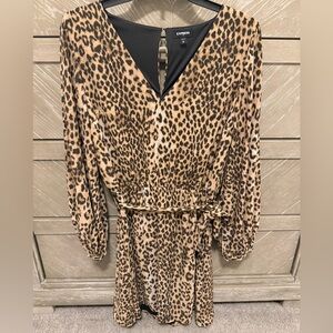 Express Leopard Print Dress